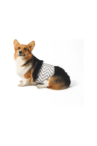 M-pets Erkek Köpekler İçin Yıkanabilir Külot Xs 10169399