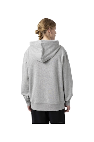 Dickies Dıckıes Mount Vısta Hoodıe 20195 Gri