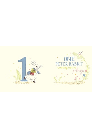 Peter Rabbit 123: A Counting Book