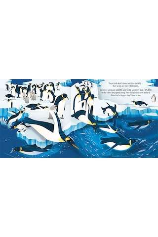Pop-Up Birds - Laura Cowan - Usborne