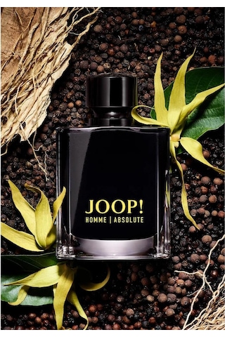 Joop Homme Absolute Edp 120 Ml Erkek Parfümü Oryantal