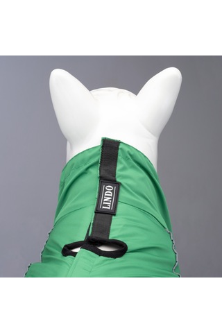 Lindo Dogs Quattro Nebula Köpek Yağmurluğu Yeşil Beden 5