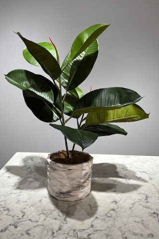 Mermer Geometrik Saksıda 2 Dal Yapay Ficus Elasticos Kauçuk Ağacı Çiçeği 75 Cm Karışık