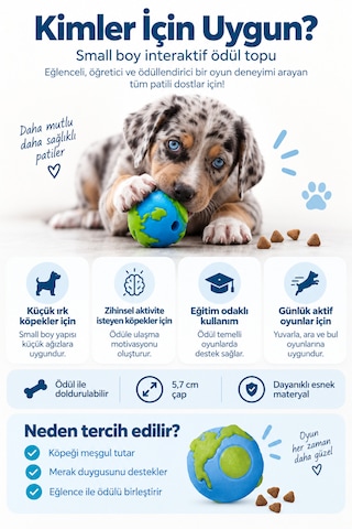 Petstages Orbee Ball Blue Köpek Ödül Oyuncağı Small