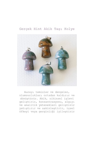 Sertifikalı Mantar Model Hint Akik Taşı Kolye Gümüş Aparatlı Çok Renkli