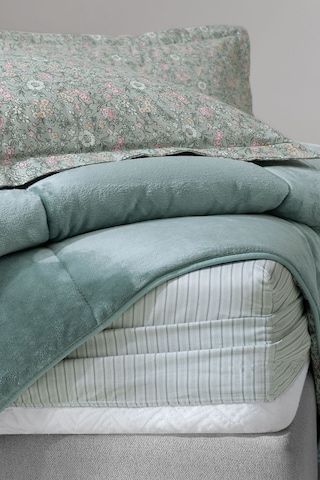 Yataş Bedding Piante Triola Tek Kişilik Set - Mint