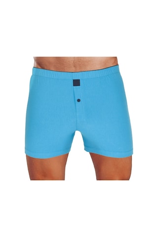 The Don Turkuaz Renk Jersey Penye/Örme Boxer