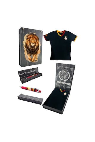 Galatasaray Lisanslı 5 Yıldızlı Siyah Basic Çocuk T-shirt + Uçlu Kalem Set Ahşap Kutulu Siyah