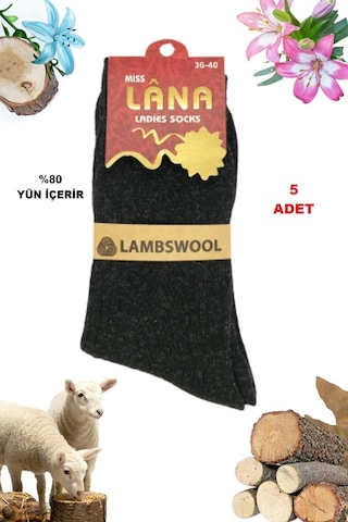 Miss Lana Ladies Socks Bayan Çorap 5 Çift Kışlık Yün Çorap Lambswool Özel Kuzu Yünlü Kadınlar İçin Termal Özellikli Siyah