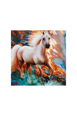 5d Elmas Boncuk Taş Işleme Mozaik Goblen Kit 30x30cm Ms24452 Diamond Painting