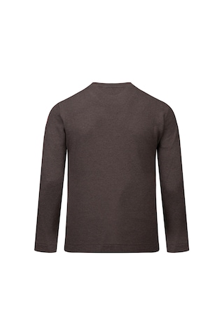Hatemoğlu Vizon Regular Fit Yarım Balıkçı Yaka Pamuklu Kazak 2977605 Vizon