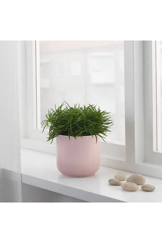 Sumuhome Gradvıs Seramik Saksı Pembe 12 Cm