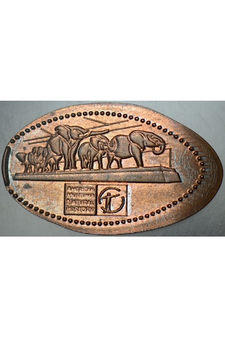Amerika Doğal Tarih Müzesi Hatıra Pressed Coin.