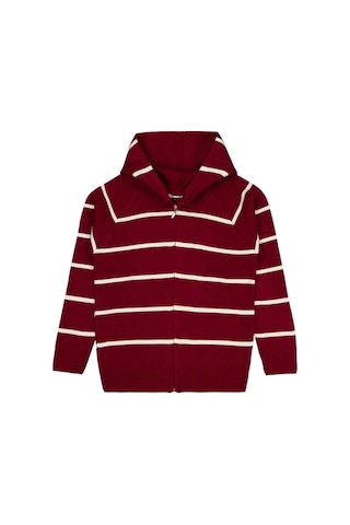 Civil Boys Çizgili Desenli 10-13 Yaş Hırka Bordo