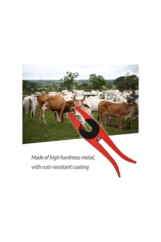 Carrier- Moda Trendleri Koyun Ve Sığır Kulak Küpesi Takma 1 Adet