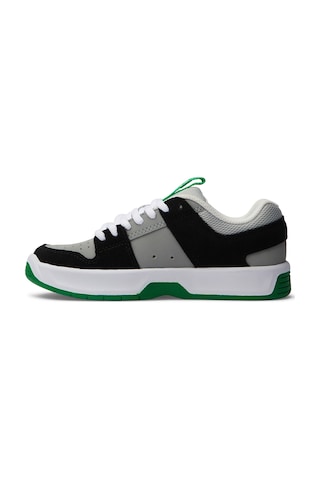 Dc Lynx Zero Bkgn Çok Renkli