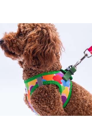 Rainbow Crew Göğüs Tasması Ve Sevk Kayışı Tasma Seti Renkli Kedi Köpek Göğüs Tasması Seti Xs Çok Renkli