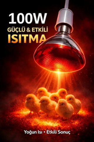 100w Isıtıcı Ampul Kırmızı Isı Lambası Civciv Kümes Kuluçka E27 Duy Isıtma Ampulü Diğer