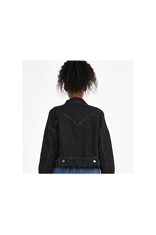Zdnjeans Dikiş Detaylı Siyah Denim Ceket Antrasit