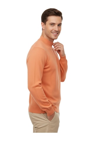 Erkek Yarım Balıkçı Yaka Regular Fit Kazak Bgl-st04954 Narçiçeği