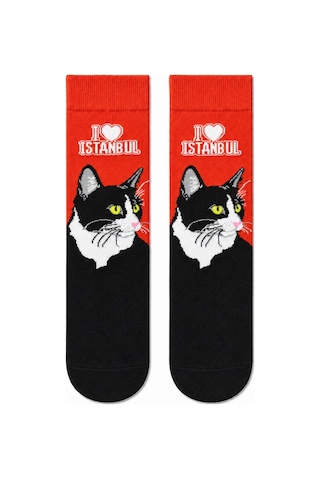 Carnaval Socks I Love İstanbul 5'li Kutulu Çorap Seti Kediler Ve Simit 2000386