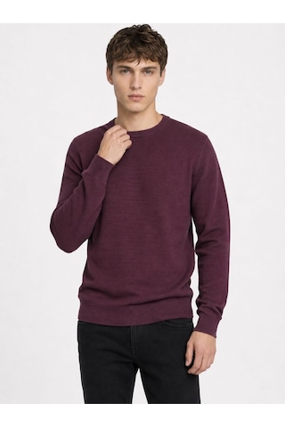 Loft Regular Fit Erkek Kazak Lf2040477 Q1.v1 Burgundy