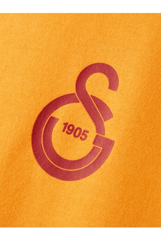 Gsstore Galatasaray Puma T-shirt 78290706 Sarı