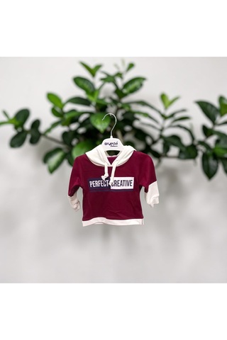 Flovmix Penye Takım Baskılı Bordo - Gri