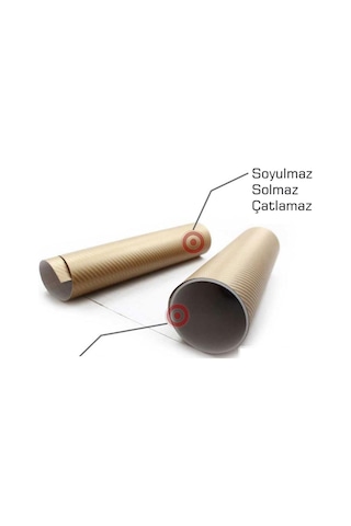 Gold Karbon Kaplama Altın Karbon Kaplama