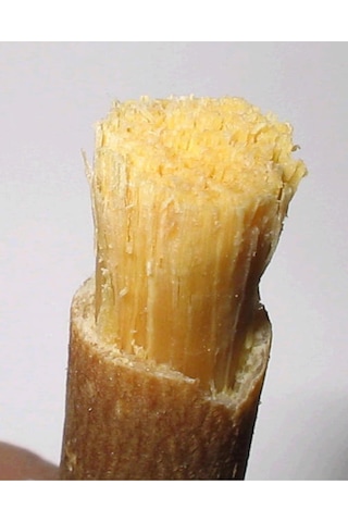 Swak-Al Şifa Vakumlu Poşet Misvak 4 Adet