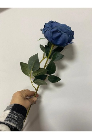 Mavi Austın Gülü 60cm Açık Saks Mavi