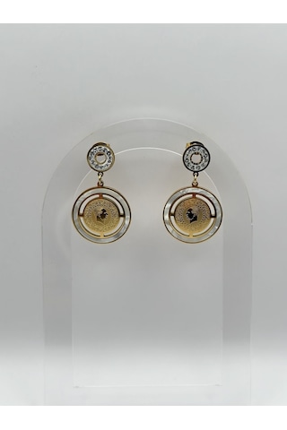 Arnes Jewelry Çelik Çeyrekli Zirkon Taşlı Küpe Ar181nes Gold
