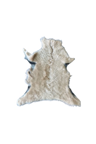 Gerçek Uzun Tüylü Koyun Postu Bej 60 X 50 Cm