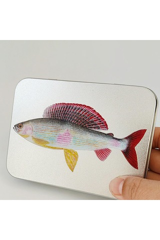 Dolıty Sinekler Depolama Kutusu Sınıflandırılmış Orta