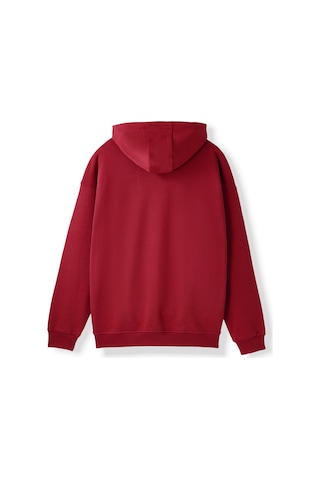 Gsstore Galatasaray Erkek Zip Hoodie E252113 Bordo