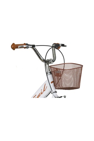 Trail Tr150 16 Jant Bisiklet Bagajlı Çocuk Bisikleti Çok Renkli