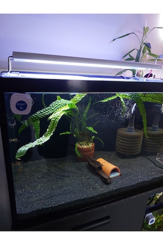 Barış Bazalt Siyah Kum 5 Kg 2-3mm