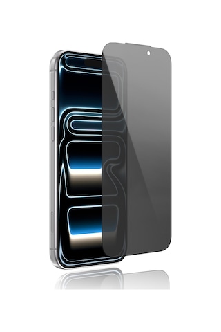 Apple Uyumlu iPhone 16 Pro Youngkit 2.5d Parmak İzi Bırakmayan 0.33mm Privacy Temperli Cam Ekran Koruyucu Siyah