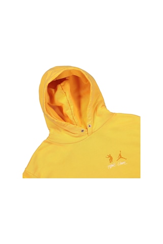 Jordan Polar Kapüşonlu Sweatshirt Dj9524-771 Pasha Giyim Çok Renkli