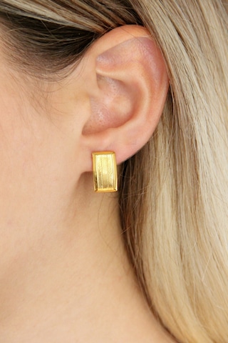 Argentum Concept - Altın Kaplamalı Gümüş Hasır Küpe - K088401