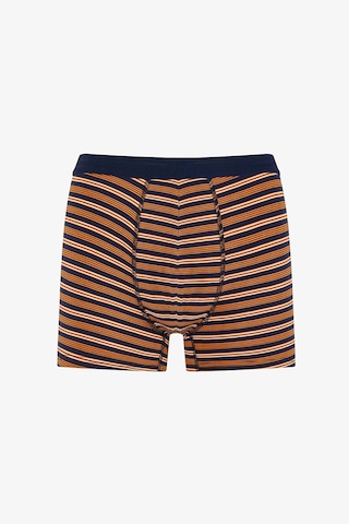 Penti Erkek Çizgili 3lü Boxer Çok Renkli