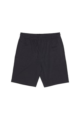 Dc Dc Highland Short Erkek Gri Şort 025 Antrasit