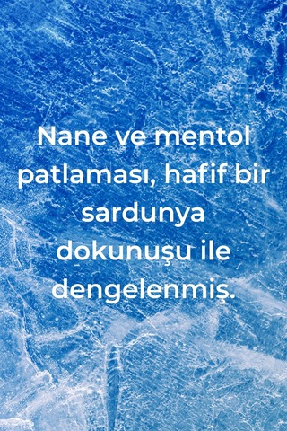 Method Banyo Temizleyici Nane Kokulu 828 ML