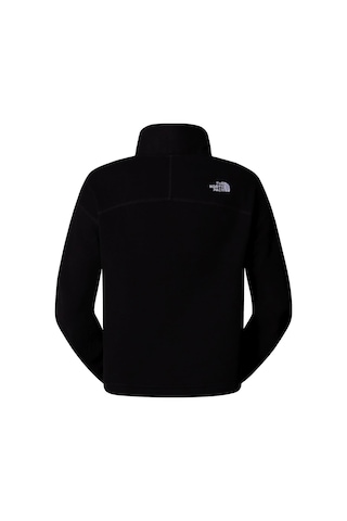 The North Face Kadın 100 Glacıer Cropped Yarım Fermuar Sweatshirt Nf0a855n4h01 001