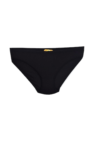 Kadın Bikini Külot Mikro Modal Bgl St01312 001