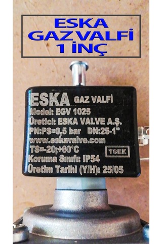 Doğalgaz Gaz Valfi 1 İnç Selonoid Vana