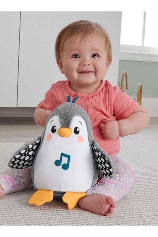 Fisher-Price Sevimli Penguen HNC10