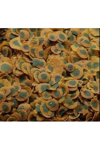 Tetra Pro Algae 50gr