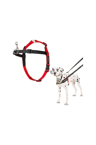 Company Of Animals Halti Köpekler İçin Önden Kontrollü Göğüs Tasması, Orta Boy