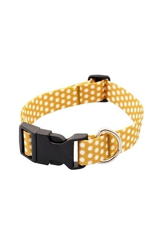 Pettagart Puantiyeli Turuncu Küçük Irk Köpek Boyun Tasması M Boyun 25 Cm X 40 Cm / 2 Cm Çok Renkli